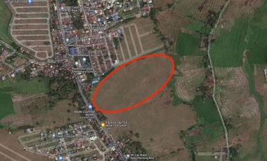 Commercial/Residential Lot for Sale  in Tanza, Cavite