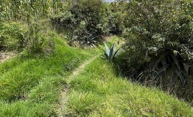 AMPLIO TERRENO PARA CULTIVO EN VENTA, Sector San Cristóbal T427