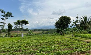 Tanah Strategis Tepi Jl Raya Mojogedang