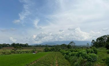 Tanah Strategis Tepi Jl Raya Mojogedang