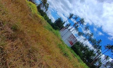 6.5Hectares Lot For Rent in San Pablo Laguna