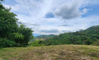 SE VENDE FINCA CON AMPLIO TERRENO EN LA VICTORIA, VALLE.