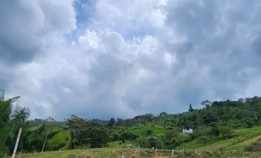 SE VENDE FINCA CON AMPLIO TERRENO EN LA VICTORIA, VALLE.