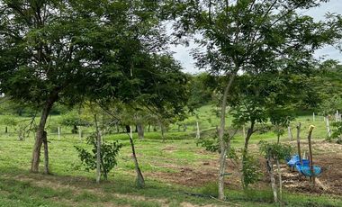 SE VENDE FINCA CON AMPLIO TERRENO EN LA VICTORIA, VALLE.