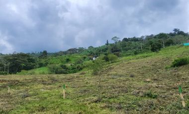 SE VENDE FINCA CON AMPLIO TERRENO EN LA VICTORIA, VALLE.