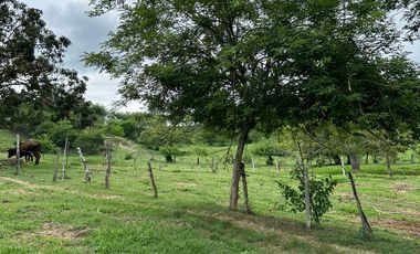 SE VENDE FINCA CON AMPLIO TERRENO EN LA VICTORIA, VALLE.