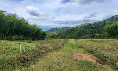 SE VENDE FINCA CON AMPLIO TERRENO EN LA VICTORIA, VALLE.