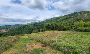 SE VENDE FINCA CON AMPLIO TERRENO EN LA VICTORIA, VALLE.
