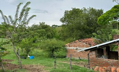 SE VENDE FINCA CON AMPLIO TERRENO EN LA VICTORIA, VALLE.