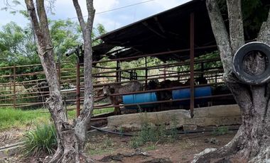 SE VENDE FINCA CON AMPLIO TERRENO EN LA VICTORIA, VALLE.