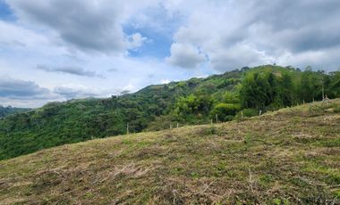 SE VENDE FINCA CON AMPLIO TERRENO EN LA VICTORIA, VALLE.