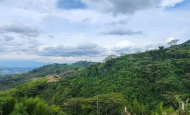SE VENDE FINCA CON AMPLIO TERRENO EN LA VICTORIA, VALLE.