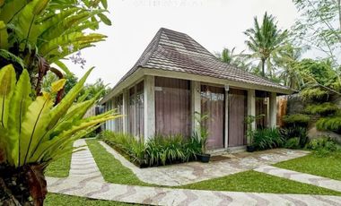 Leasehold 25 years Villa separate of 3 buildsings  with a designer swimming pool and sauna, surrounded by rice fields and mountain view in Ubud Bali