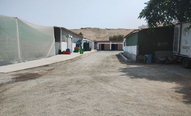 LURIN FUNDO MAMACONA