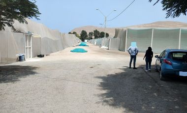 LURIN FUNDO MAMACONA