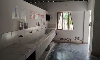 LURIN FUNDO MAMACONA