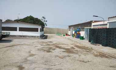 LURIN FUNDO MAMACONA