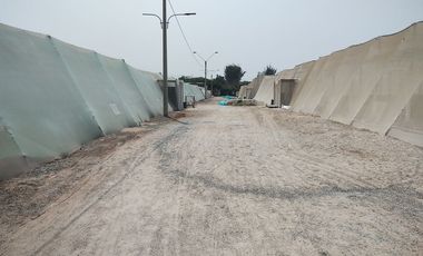 LURIN FUNDO MAMACONA