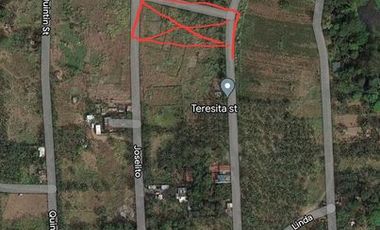 1200 sqm Lot for Lease at Stateland Hills Gen Trias, Manggahan