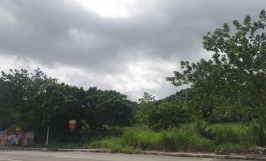 Industrial Lot for Lease along Calamba Bypass Road near Ayala Greenfield Estate.
