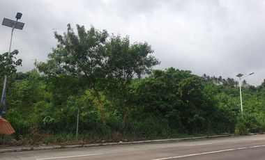 Industrial Lot for Lease along Calamba Bypass Road near Ayala Greenfield Estate.