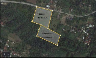 Industrial Lot for Lease along Calamba Bypass Road near Ayala Greenfield Estate.