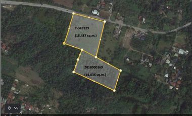 Industrial Lot for Lease along Calamba Bypass Road near Ayala Greenfield Estate.