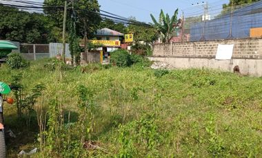 Commercial Lot for Sale along the Road in Dumlog, Talisay near SRP