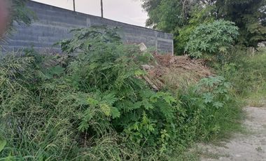 LOTE DE TERRENO EN RENTA EN APODACA NL, ZONA CARRETERA APODACA STA ROSA, 1300 M2
