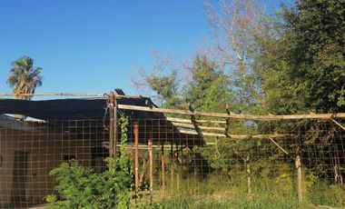 LOTE DE TERRENO EN RENTA EN APODACA NL, ZONA CARRETERA APODACA STA ROSA, 1300 M2