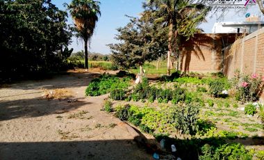 TERRENO EN VENTA - LOS EJIDOS DEL NORTE-PIURA