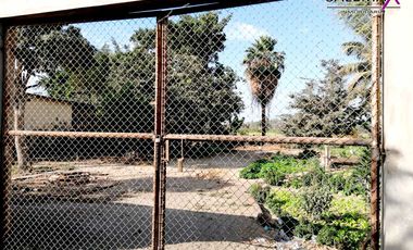 TERRENO EN VENTA - LOS EJIDOS DEL NORTE-PIURA