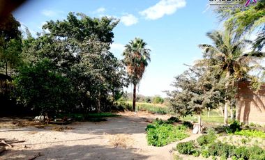 TERRENO EN VENTA - LOS EJIDOS DEL NORTE-PIURA