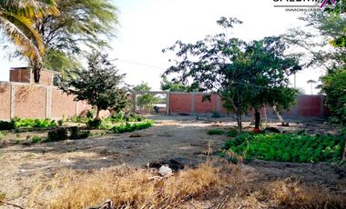 TERRENO EN VENTA - LOS EJIDOS DEL NORTE-PIURA