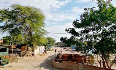TERRENO EN VENTA - LOS EJIDOS DEL NORTE-PIURA