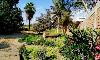 TERRENO EN VENTA - LOS EJIDOS DEL NORTE-PIURA