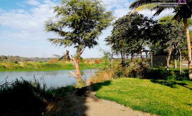 TERRENO EN VENTA - LOS EJIDOS DEL NORTE-PIURA