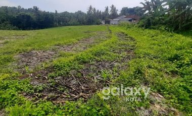 DIJUAL TANAH MEGATI SELEMADEG TABANAN, BALI