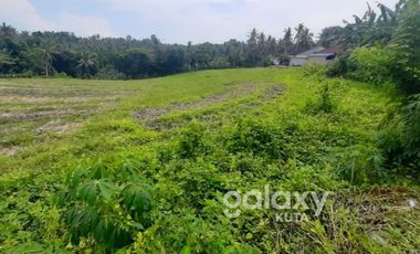 DIJUAL TANAH MEGATI SELEMADEG TABANAN, BALI