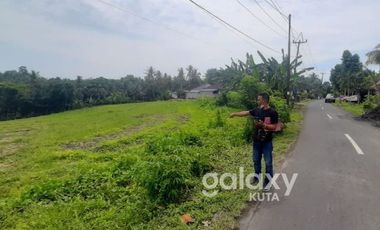 DIJUAL TANAH MEGATI SELEMADEG TABANAN, BALI