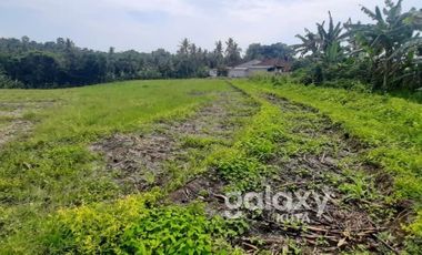 DIJUAL TANAH MEGATI SELEMADEG TABANAN, BALI