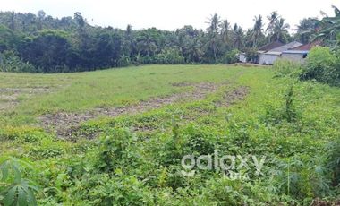 DIJUAL TANAH MEGATI SELEMADEG TABANAN, BALI