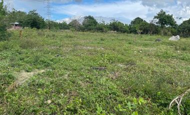 For Sale: 9,139 SQM Farm or Residential Lot for Subdivision Use in Sariaya, Quezon