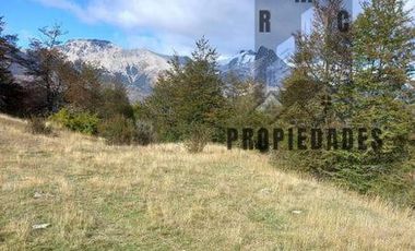 CAMPO DE 100 HECTÁREAS EN COCHRANE XI REGIÓN