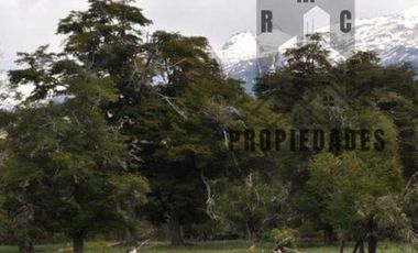 CAMPO DE 100 HECTÁREAS EN COCHRANE XI REGIÓN