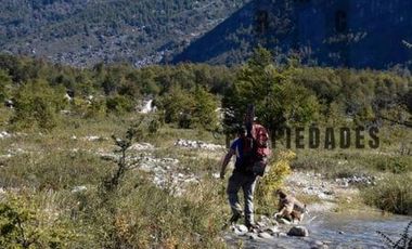 CAMPO DE 100 HECTÁREAS EN COCHRANE XI REGIÓN