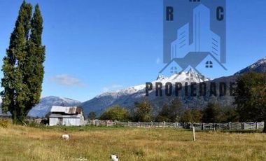 CAMPO DE 100 HECTÁREAS EN COCHRANE XI REGIÓN