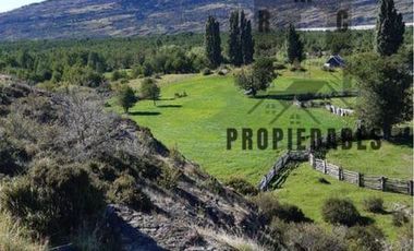 CAMPO DE 100 HECTÁREAS EN COCHRANE XI REGIÓN