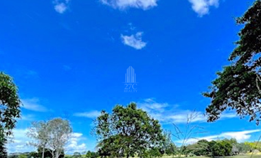 Fairway Lot for Sale in Manila Southwoods, Carmona, Cavite