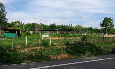 Land sale 9 rai 3 ngan, 3.5MB, cow farm, Hang Chat District, Lampang.